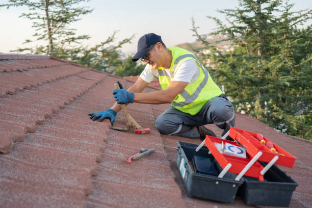 Professional Roofing Contractor in Manchaca, TX